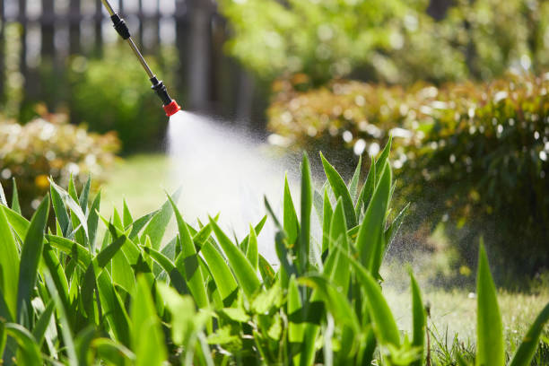 24/7 Emergency Wasp Removal experts in Wonder Lake, IL