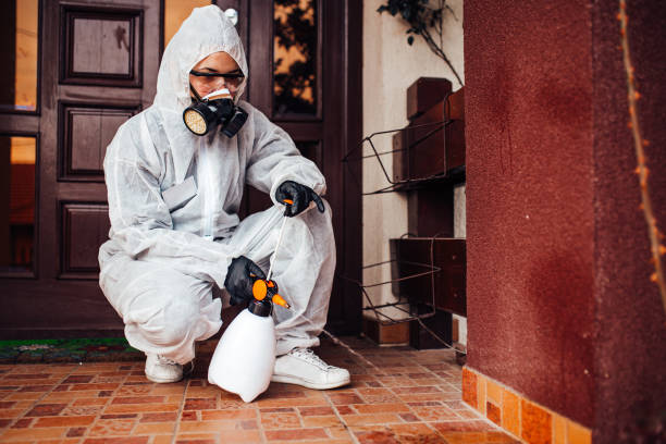 Reliable Wasp Removal contractor in Wonder Lake, IL by Show Me Pest Control